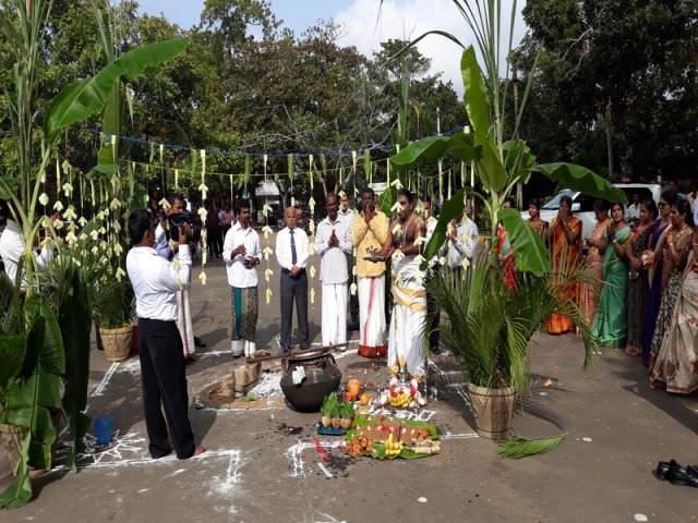 Thaipongal Festival_16.01.2019